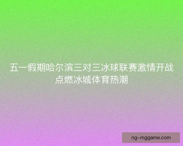 五一假期哈尔滨三对三冰球联赛激情开战点燃冰城体育热潮